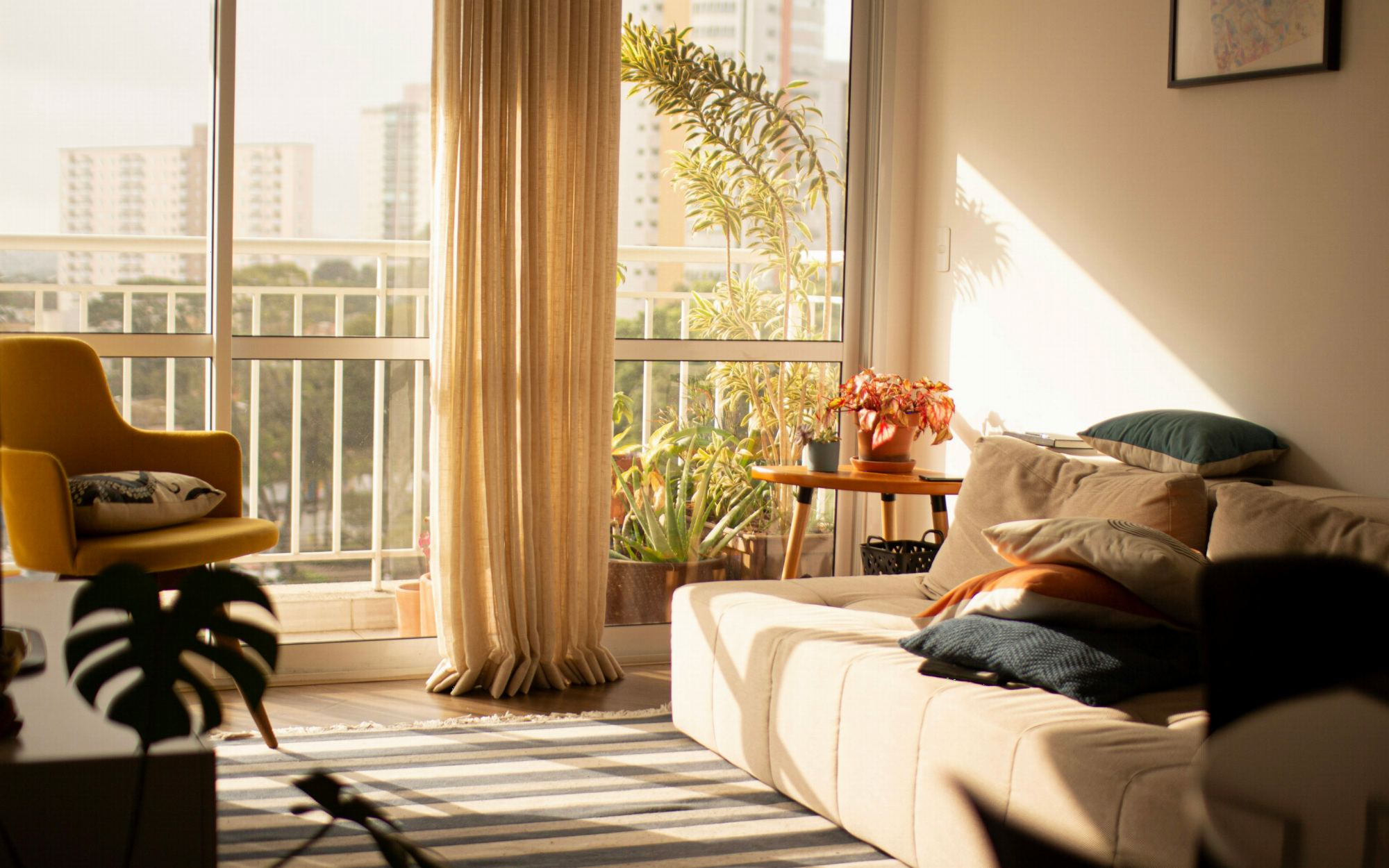 Morning light in a living room